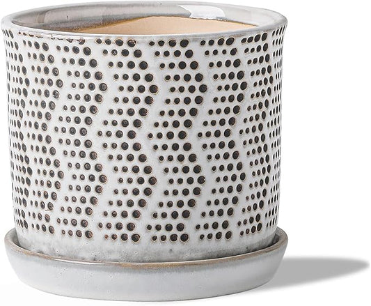 6 Inch Plant Pot: Ceramic Planter with Drainage Hole & Saucer for Indoor Outdoor Plants - Flowerpot with Bonded Tray for Home Office -Mixed Spots Debossed