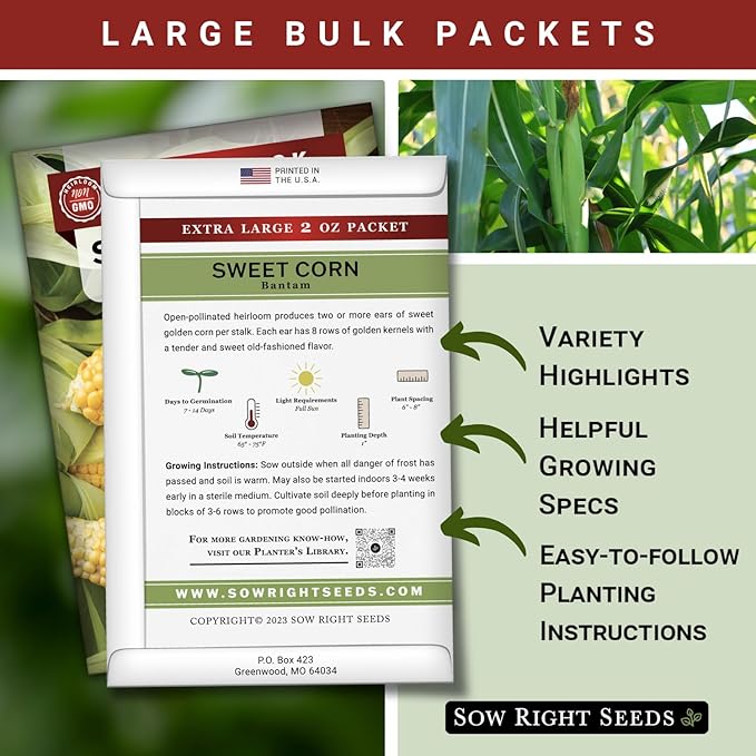 Sow Right Seeds - Bantam Sweet Corn Seed for Planting - 2 Ounce, 200 Seeds - Non-GMO Heirloom Bulk Packet with Instructions to Plant a Home Vegetable Garden - Grow Loads of Tall Sweet Yellow Corn
