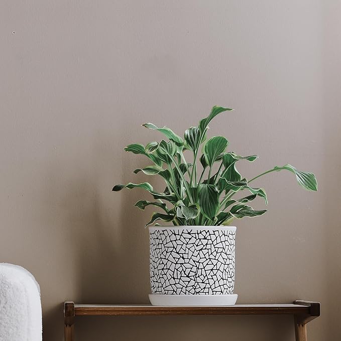 8 Inch Plant Pots: Ceramic Planter Pot with Drainage Hole & Saucer - Planters for Indoor/Outdoor Plants - Flower Pot with Bonded Tray for Home/Office - Tile Design Debossed