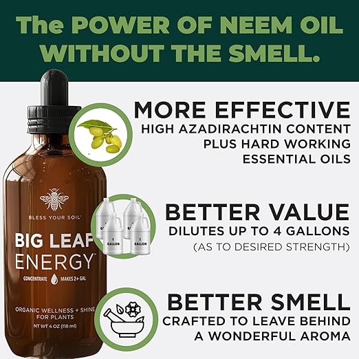 Big Leaf Energy : Concentrated Refill : Pure Organic Cold Pressed Neem + Essential Oils (118 mL, Makes 4 gallons) for Plant Wellness