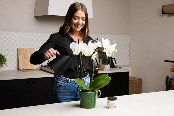 rePotme Orchid Pot Growers Assortment (8 Slotted Clear Orchid Pots - 2 Each of 3, 4, 5, 6 Inch) - Premium Orchid Planters, Orchid Pots with Holes for Repotting