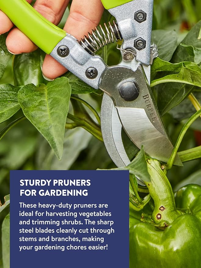 Burpee CR850 Bypass Garden Pruner - Pruning Shears - Long-Lasting Garden Tools - Great for Trimming Shrubs or Harvesting Vegetables - 8.5 Inches