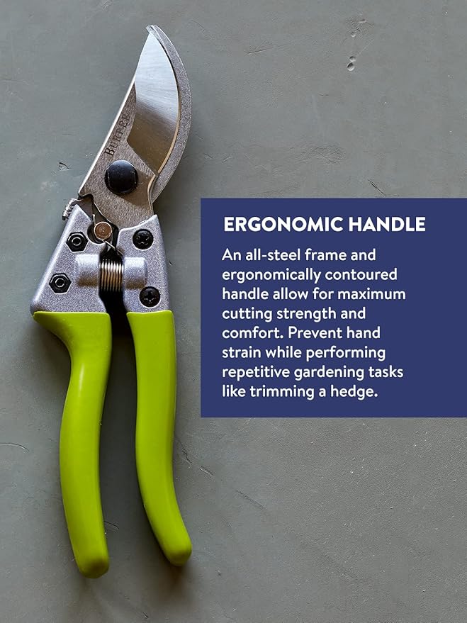 Burpee CR850 Bypass Garden Pruner - Pruning Shears - Long-Lasting Garden Tools - Great for Trimming Shrubs or Harvesting Vegetables - 8.5 Inches