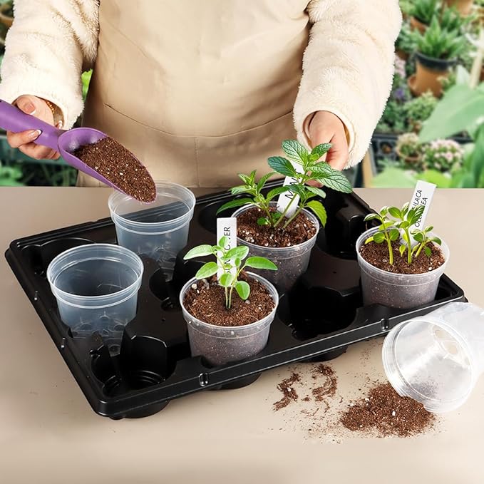 4 Inch Clear Nursery Pots for Plants, Plastic Plant Pot with Drainage Holes, Sturdy Thickened Seed Starter Pots, Small Transparent Seedling Pots with 30 Pcs Plant Labels and Soil Screens, (30 Pack)