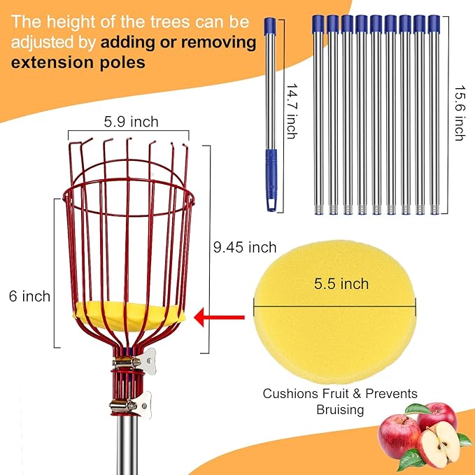 13 Feet Fruit Picker Pole Tool with Basket Apple Picker Extendable Stainless Steel Extension Pole Metal Clamp Fruit Catcher with Protective Foam Pad for Avocado Apples Mango