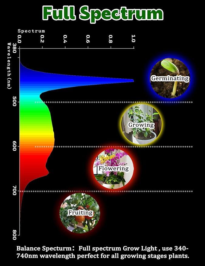 2 Pack E12 Small Candelabra Base LED Grow Light Bulbs Full Spectrum, 12W Sun Grow Plant Light Bulb 100w Equivalent, Balanced Spectrum 5000K Red Blue Grow Bulb for Flower, Seed Starting, Indoor Growing