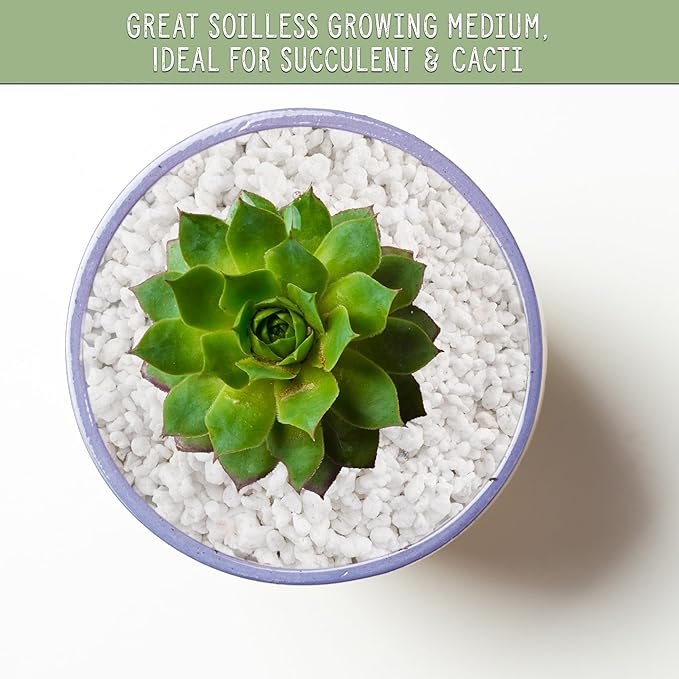 Horticultural Perlite Soil Additive (12 Quarts); for Enhanced Potting Mix Drainage and Growth
