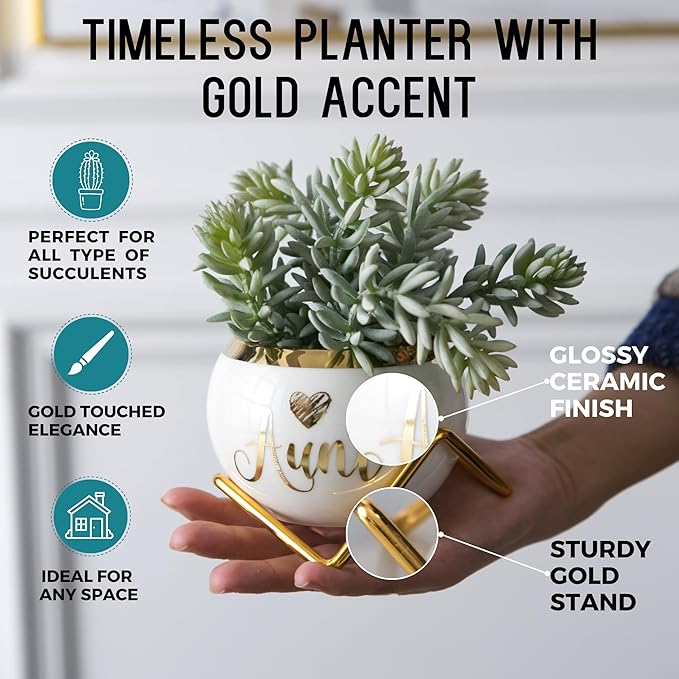 Aunt Gifts, Gifts for Aunt from Niece & Nephew, Best Aunt Ever Gifts, Birthday Gifts for Aunt, Auntie Gifts from Niece Nephew, Great Aunt Gifts, Gardening Gifts for Aunt Unique, 3 Succulent Pots Only