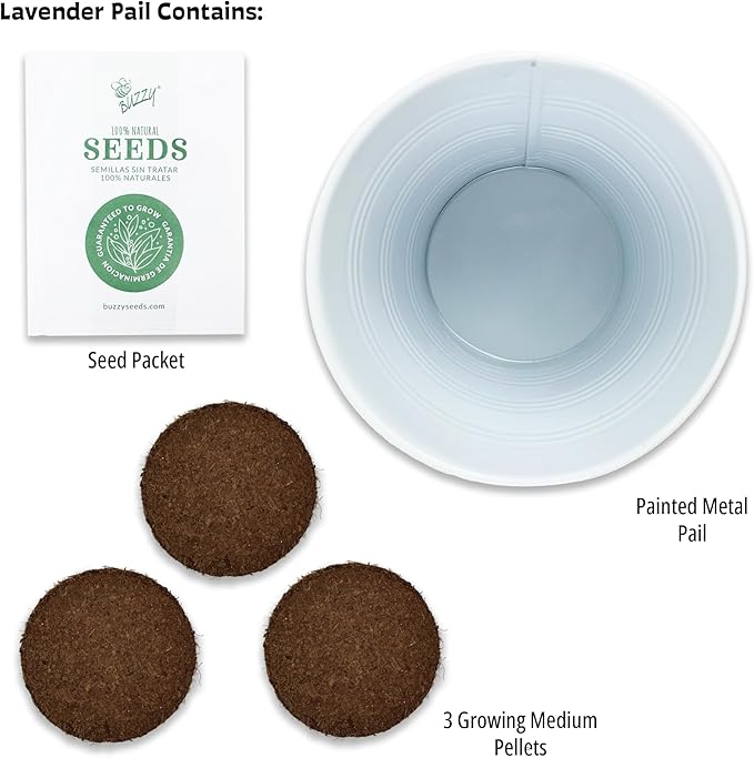Buzzy Seeds Painted Love Pails | Flower & Herb Starter Kit for Kids & Adults | 2-Pack | Mini Rose and Lavender Seeds | Guaranteed to Grow | Best Indoor Grow Your Own Plant Gardening Gift