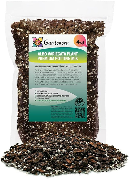 Albo Variegata Potting Soil - Specially Formulated for Unique Plant Needs - 4 Quart