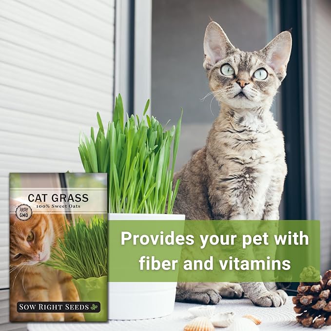Sow Right Seeds - Bulk Cat Grass Seeds for Planting - 8 oz - Non-GMO Heirloom 100% Sweet Oats Grass for Cats and Dogs - Easy to Grow Healthy Greens - Safe & Natural Indoor Use - Ideal for Pet Lovers