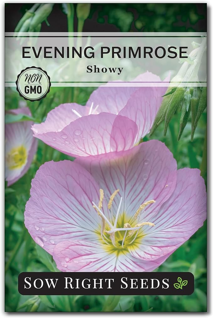 Sow Right Seeds - Showy Evening Primrose Flower Seeds for Planting - Non-GMO Heirloom Packet with Instructions - Native Wildflower for Pollinators - Perennial Pink Ladies, Mexican Evening Blooms (1)