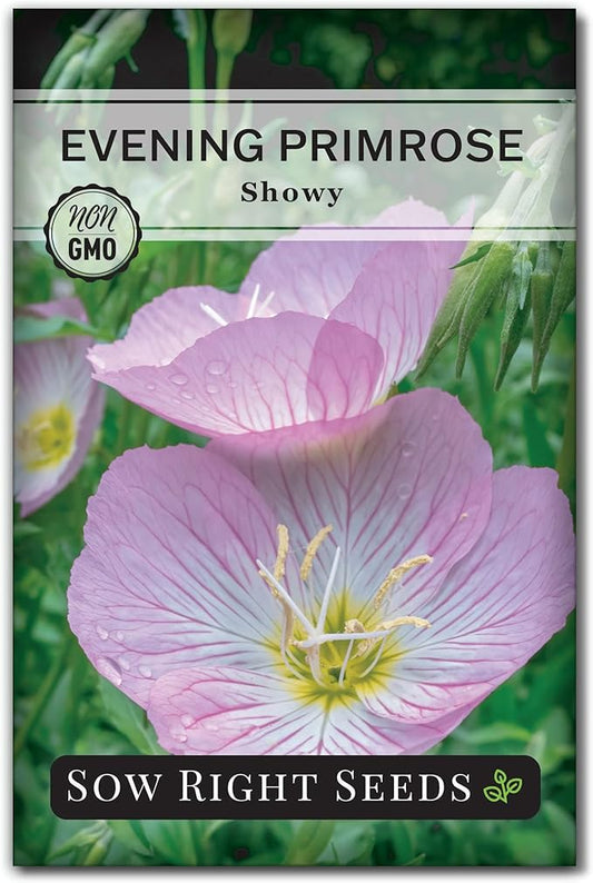Sow Right Seeds - Showy Evening Primrose Flower Seeds for Planting - Non-GMO Heirloom Packet with Instructions - Native Wildflower for Pollinators - Perennial Pink Ladies, Mexican Evening Blooms (1)