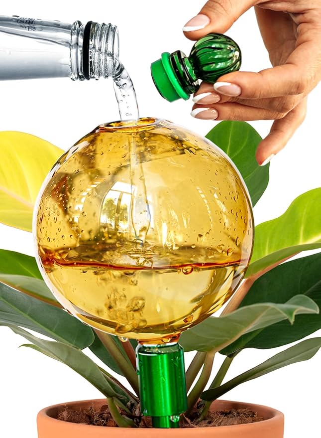 16 Oz Plant Watering Globes For Indoor Plants With Metal Self Watering Planter Insert - Premium XL Glass Hand-blown Globes - Automatic Indoor Planter Waterer, Gift Idea For Gardeners [1, Gold]
