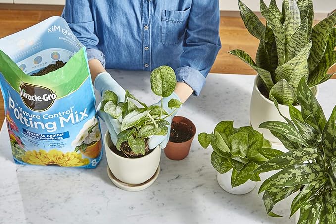 Miracle-Gro Moisture Control Potting Mix and Water Soluble All Purpose Bundle of Soil (8 qt.) and Plant Food (1.5 lb.) for Plants & Flowers Grown in Containers