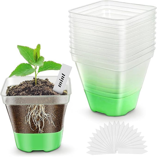 Clear Nursery Pots for Plants,10 Packs Seed Starting Pots 3.1 inch Plastic Plant Pot Seedling Pots with Drainage Holes Plant Nursery Pots with Silicone Base Seed Starting Pot (No Lids 10)