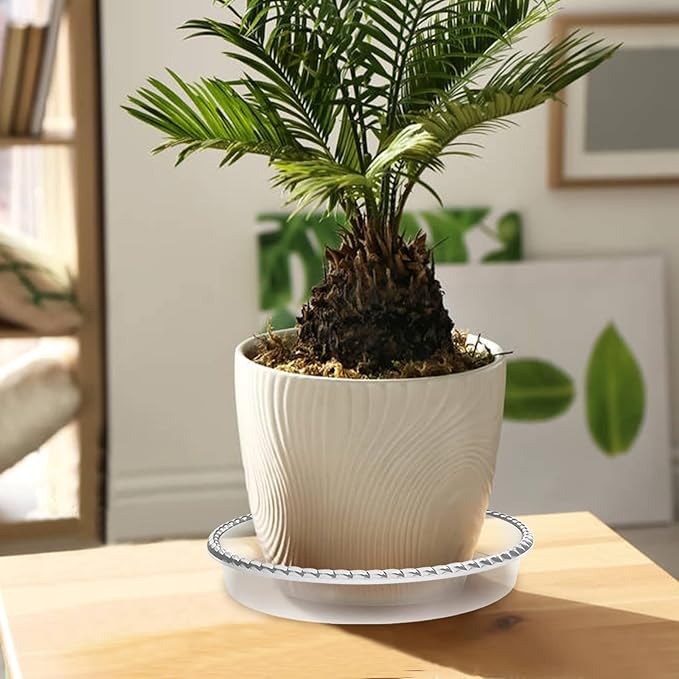 6 Pack Plant Saucer 6 8 10 12 14 Inch Plastic Plant Tray, Sturdy and Durable Flower Pot Container Accessories Plant Pot Saucers for Indoor and Outdoor (14 Inch, Clear)