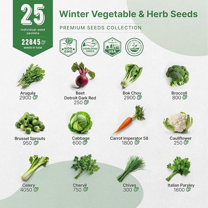 Organo Republic 25 Winter Vegetable & Herb Garden Seeds Variety Pack for Outdoors & Indoor Home Gardening 5000+ Non-GMO Heirloom Seeds Broccoli Beet Carrot Cabbage Radish Pea Mint Thyme Parsley