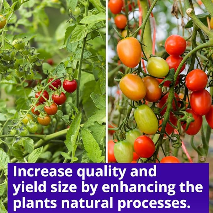 Humboldts Secret Sweet & Sticky – Carbohydrate and Saccharide Energy Source – Enhance Aroma and Flavor of Plants – Potting Soil for Indoor Plants – Energy for Plants – 2.5 Gallon