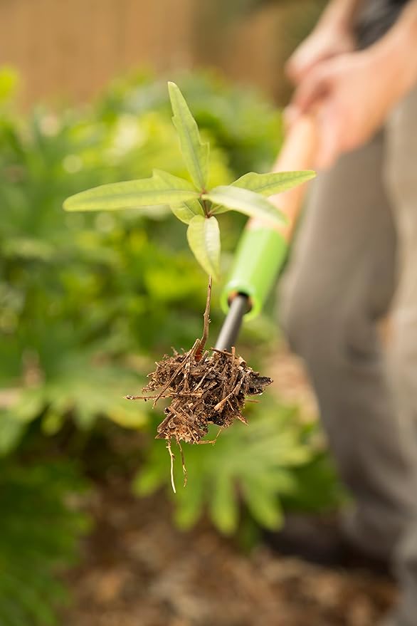 Ames COMPANIES THE 2942100 Forg Dandelion Weeder