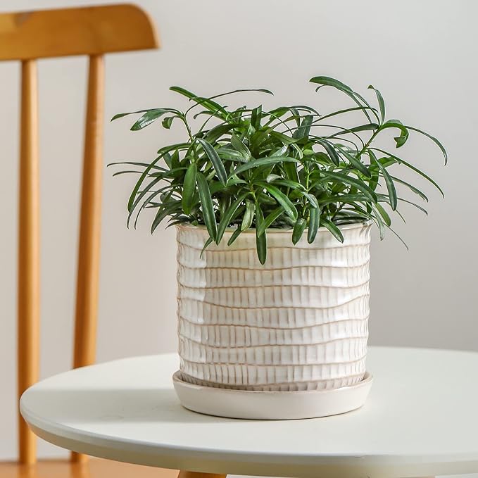 6 Inch Plant Pot: Ceramic Planter with Drainage Hole & Saucer for Indoor Outdoor Plants - Flowerpot with Bonded Tray for Home Office - Wave Embossed