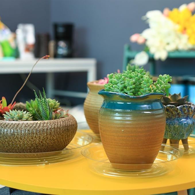 40 Pack 4 Inch Plant Saucer Clear Plant Saucers for Indoors Flower Pot Saucers Small Plant Plate Dish Plant Pot Saucers Plant Trays for Pots Bulk