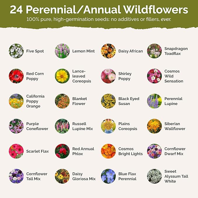 Eden Brothers Tennessee Wildflower Mixed Seeds for Planting, 1/4 lb, 120,000+ Seeds with Cosmos, Black Eyed Susan | Attracts Pollinators, Plant in Spring or Fall, Zones