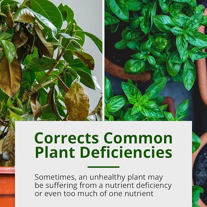 Humboldts Secret Calcium, Magnesium and Iron Supplement – Hydroponic Supplies – Liquid Nutrient Fertilizer – Supports Vegetative and Flowering Stage – 8 Ounce