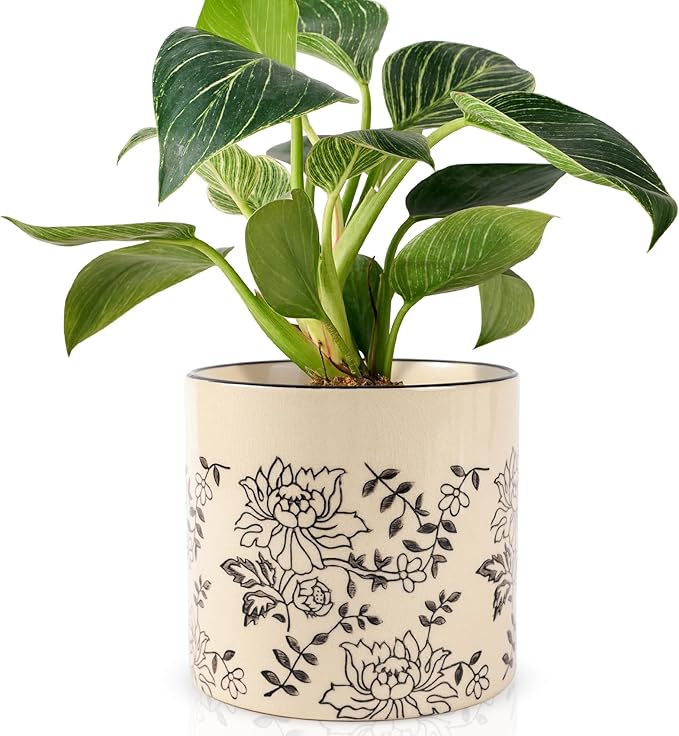 Indoor Ceramic Plant Pots with Drainage Holes 5 Inch Cute Succulent Flower Pots Small Orchid Planter Pots for Indoor Plants Garden Pots, Peony