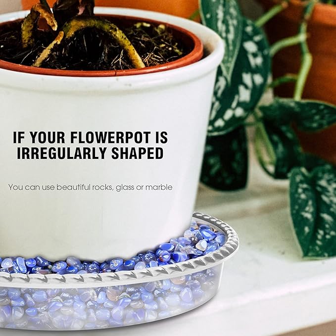 6 Pack Plant Saucer 6 8 10 12 14 Inch Plastic Plant Tray, Sturdy and Durable Flower Pot Container Accessories Plant Pot Saucers for Indoor and Outdoor (6 8 10 Inch, Clear)