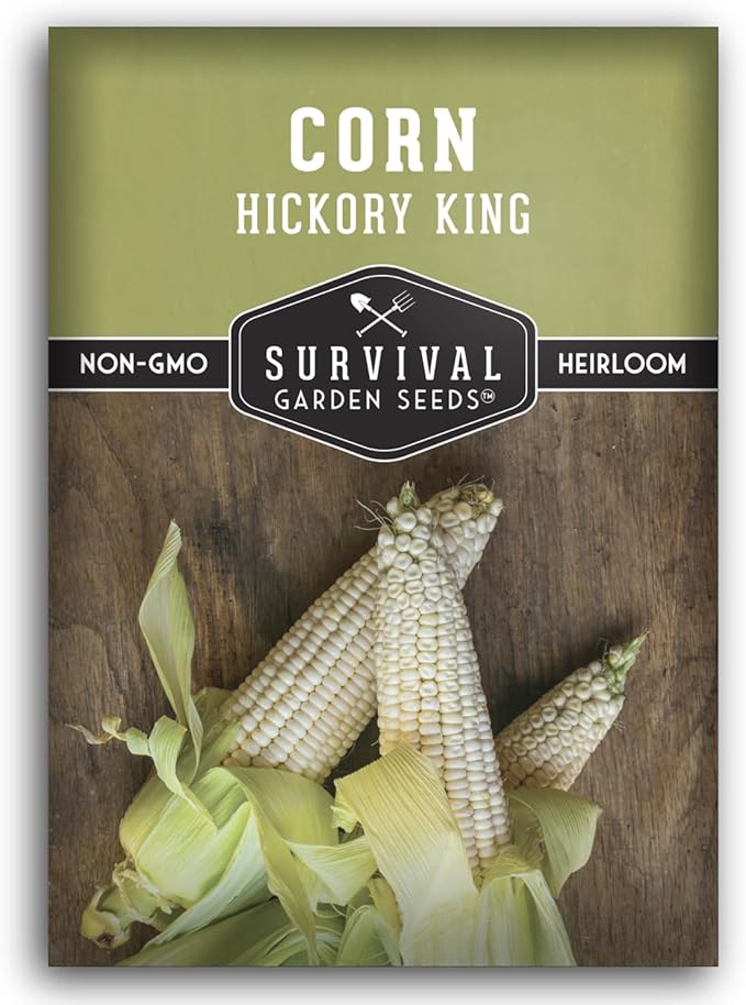 Hickory King Corn Seed for Planting - 1 Packet with Instructions to Plant and Grow White Field or Dent Corn in Your Home Vegetable Garden - Non-GMO Heirloom Variety - Survival Garden Seeds