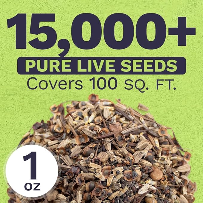 Texas Oklahoma Wildflower Seeds Mixture - Bulk 1 Ounce Packet - Over 15,000 Native Seeds - Open Pollinated and Non GMO