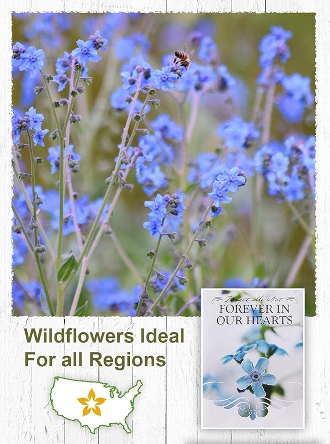 American Meadows Wildflower Seed Packets Forever in Our Hearts Memorial Favors (Pack of 20) - Forget-me-Not Seed Mix, Favors for Funerals, Wakes, Viewings, Visitations, Memorial Services