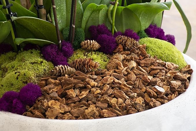 SuperMoss (23114) Orchid Potting Bark, Natural, 4 quarts