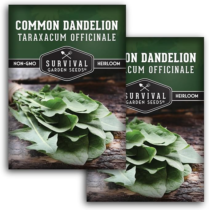 Survival Garden Seeds Common Dandelion Seed - 2 Packs with Instructions to Plant & Grow Nutritious Medicinal Plants & Leafy Greens in Your Home Herb or Vegetable Garden - Non-GMO Heirloom Variety