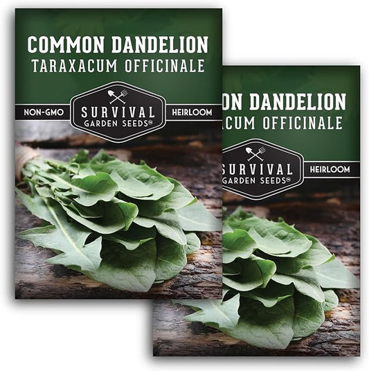 Survival Garden Seeds Common Dandelion Seed - 2 Packs with Instructions to Plant & Grow Nutritious Medicinal Plants & Leafy Greens in Your Home Herb or Vegetable Garden - Non-GMO Heirloom Variety