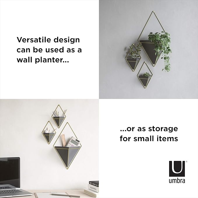 Umbra Trigg Hanging Planter Vase Wall Decor, Set of 2 Pots Containers for Succulents, Cactus, Faux Plants, and More, Small, Black/Brass