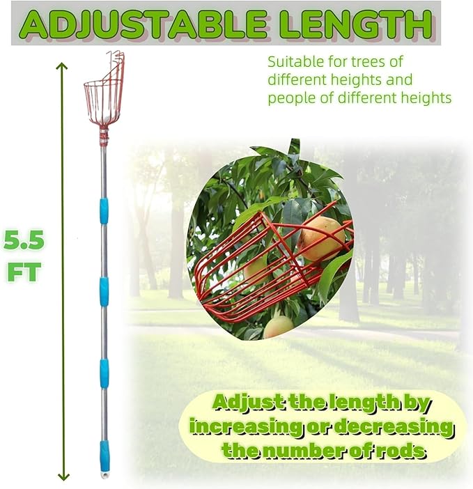 Adjustable Fruit Picker with Telescoping Handle and Basket, 5.5ft - Ideal for Apple, Orange, Avocado, Lemon, Pear, and Mango Harvesting