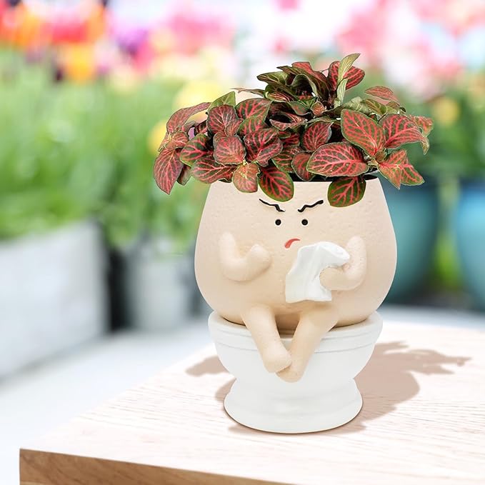 Frowning Planter Pots for Indoor Plants Cute Resin Flower Head Planters, Sit Toilet Succulent Pots with Drainage Hole Unique Closestool Planter - Gift IdeaI for Birthday and Christmas