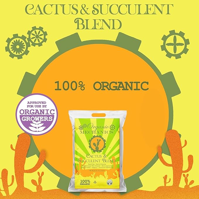 Cactus and Succulent Blend Potting Soil, 8 Quarts – Enhances Root Growth & Water Drainage with Biochar, Rice Hulls, and Worm Castings - Peat-Free, Eco-Friendly & Locally Sourced