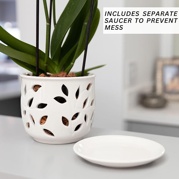 Orchid Pot with Holes & Saucer Ceramic 6.5 in. Indoor or Outdoor Large Pot for Orchid Care & Root Health with Precise Aeration & Drainage – Durable for Repotting or New Plants