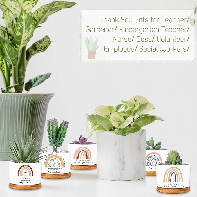 Sieral 6 Pcs Thank You Gift Appreciation Gift Succulent Pots Mini Ceramic Plant Pot with Bamboo Tray Succulent Planter for Coworker Employee Teacher School Counselor, Plants Excluded(Boho Style)