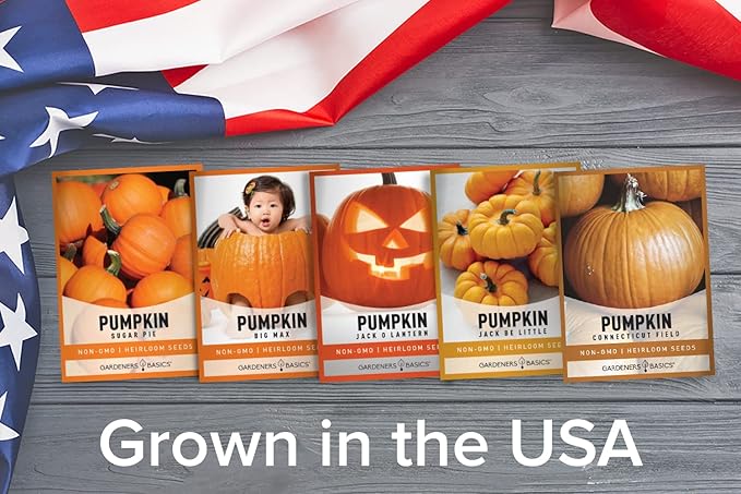 Gardeners Basics, Pumpkin Seeds to Plant - 5 Variety Baby Boo, Giant Big Max, Jack Be Little, Jack O Lantern, Sugar Pie, Great for Pumpkin Seed for Summer, Fall, Pumpkin Seeds for Planting