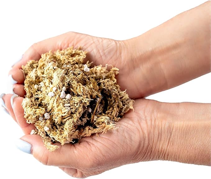 Sphagnum Moss Potting Mix for Carnivorous Plants - 10 Quart - Moss and Perlite Blend for Potting Venus Fly Traps, Sarracenia, Pitcher Plants (2 Bags of 5QT)