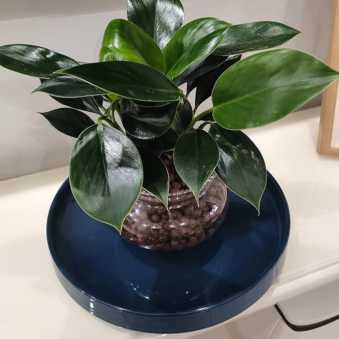 Blue Ceramic Pot Saucer - Drainage Tray for Indoor and Outdoor Flower Plant Pots and Planters, 12 Inch