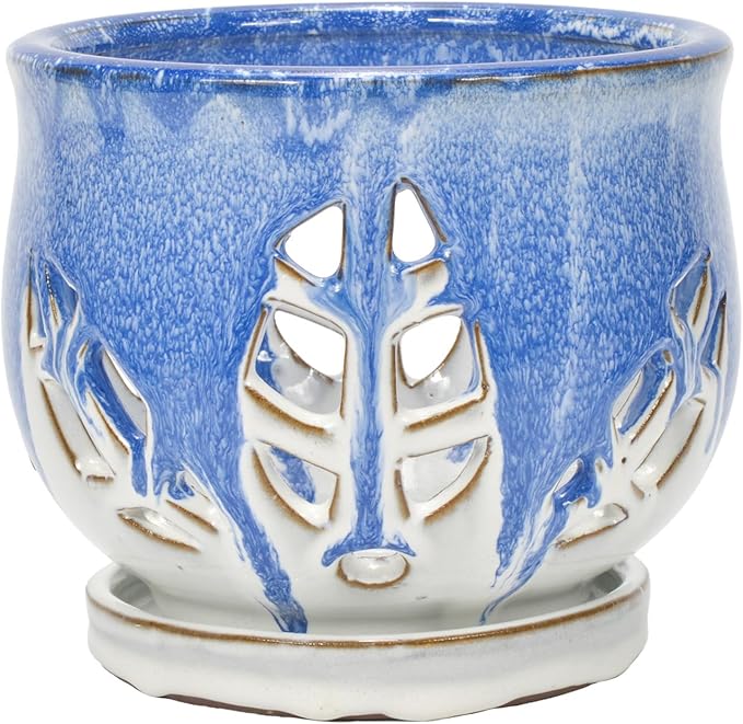 W&W Orchid Pot with Holes and Saucer for Repotting and Better Grow, Blue and White, 6.5 Inches