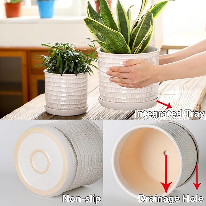 6 Inch Plant Pot: Ceramic Planter with Drainage Hole & Saucer for Indoor Outdoor Plants - Flowerpot with Bonded Tray for Home Office - Wave Embossed