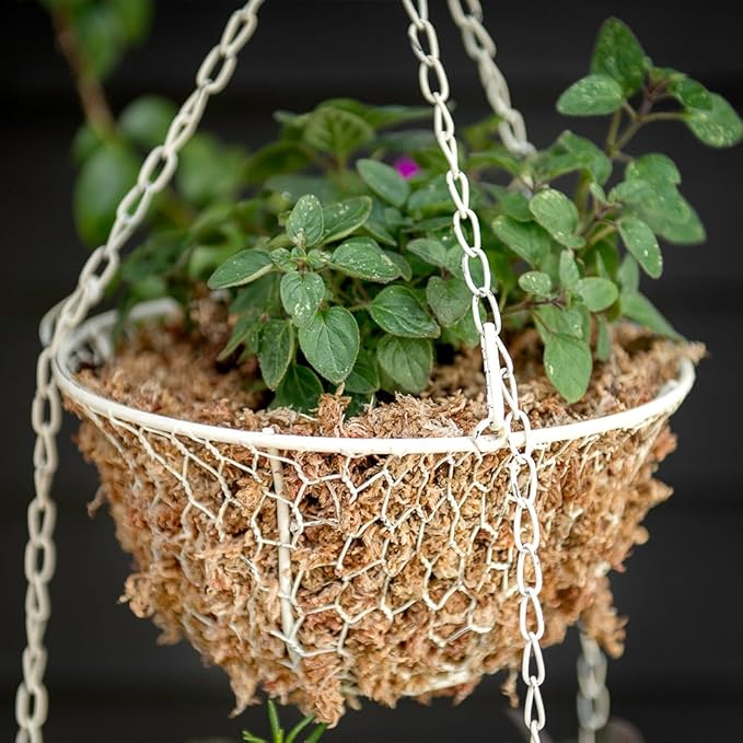 SuperMoss (22330) Orchid Sphagnum Moss Dried, Natural, 2.1lbs Small Bale