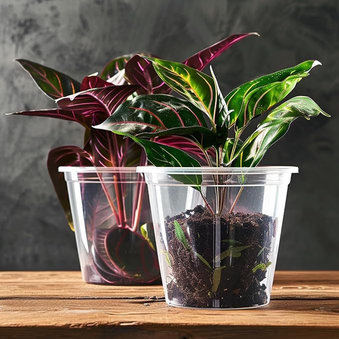 RAOOKIF 30 Pack 1 Gallon Pots with Drainage Holes, 7 Inch Clear Nursery pots, 1 Gallon Plastic Plant Pots for Seedlings, Clear Seed Starters, and Flower Planting