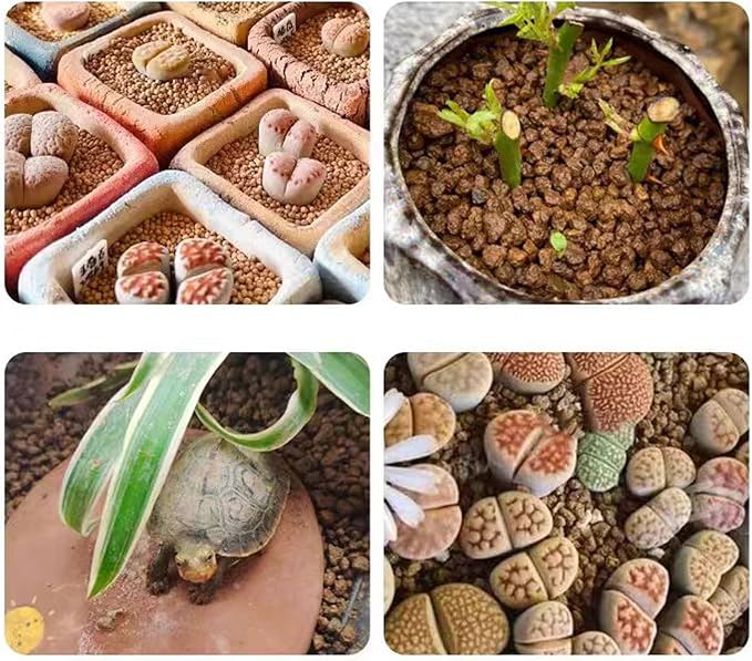 Akadama Bonsai Soil 2lbs Horticultural Potting Soil Amendment Cacti Succulent Plant Soil, Prevent Over Water, Provides Optimal Water Retention, Fast Drainage